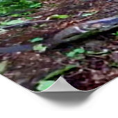 「ブラックウルフ」のポスター ポスター (角)