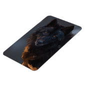 ブラックウルフ、狼、野生動物、動物、大きな狼。 マグネット (左側)