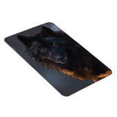 ブラックウルフ、狼、野生動物、動物、大きな狼。 マグネット (右側)