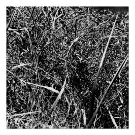 ブラックエイリアングラス ポスター