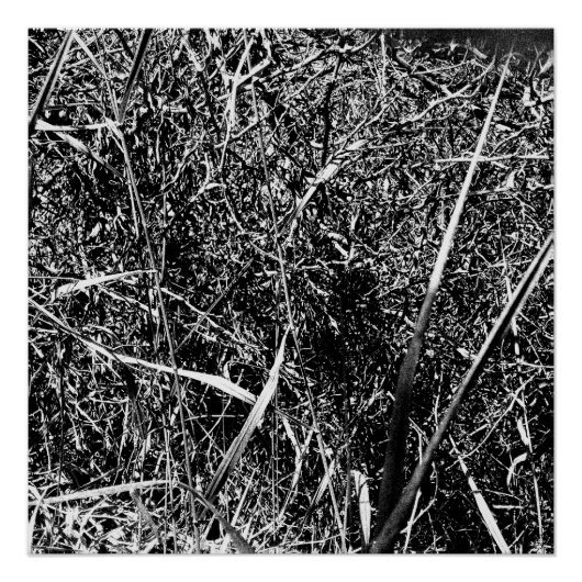 ブラックエイリアングラス ポスター (正面)