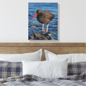 ブラックオイスターキャッチャーのプロフィール キャンバスプリント (インサイチュ (寝室))