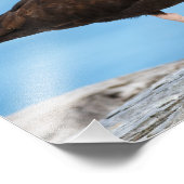 ブラックオイスターキャッチャーのプロフィール フォトプリント            (角)