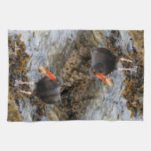 ブラックオイスターキャッチャー魚釣りショアバードビーチ キッチンタオル (横)