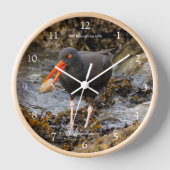 ブラックオイスターキャッチャー魚釣りショアバードビーチ 壁時計 (正面)