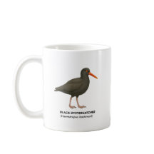 ブラックオイスターキャッチャー – カリフォルニアの鳥