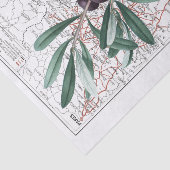 ブラックオリーブブランチマップフランスデクページヴィンテージ 薄葉紙 (詳細)