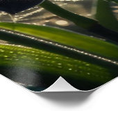 ブラックオーキッドスパイダーウェブフローラ ポスター (コーナー)