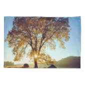 ブラックオークの木|クリーブランド国有林(カリフォルニア州) 枕カバー (裏面-左)