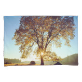 ブラックオークの木|クリーブランド国有林(カリフォルニア州) 枕カバー (正面右)