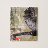 ブラックオーストラリアの白鳥 ジグソーパズル (縦)