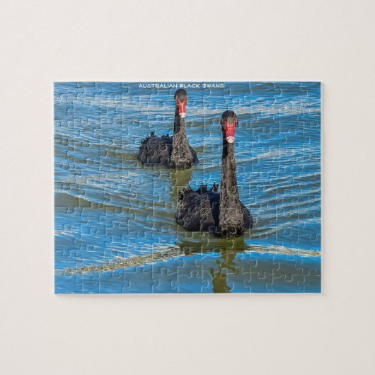 ブラックオーストラリアの白鳥 ジグソーパズル (横)