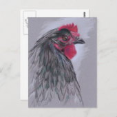 ブラックオーストラロプヘン ポストカード (正面/裏面)