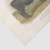 ブラックカウエフエメラデクページヴィンテージファーム 薄葉紙 (詳細)