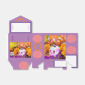 ブラックカラベリータ フェイバーボックス (折り畳みなし)