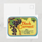 ブラックカラントジュースダークベリーヴィンテージラベルアート ポストカード (正面/裏面)