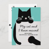 ブラックキティ猫ライトティール(緑がかった色)の動き発表 案内ポストカード (正面/裏面)