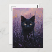 ブラックキャットインアラベンダーフィールドイラストレーション ポストカード (正面/裏面)
