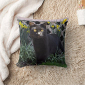 ブラックキャットインダフォディルス装飾用クッション クッション (ブランケット)