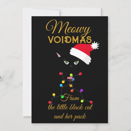 ブラックキャットクリスマスライトマイオウィボイドマス シーズンカード (正面)