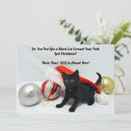 ブラックキャットクリスマス – ユーモア – フラットクリスマスカード シーズンカード (スタンド正面)