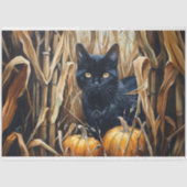 ブラックキャットコーンフィールドカボチャのデコップページ 薄葉紙 (正面)