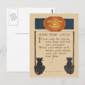 ブラックキャットジャックオランタンパンプキン ポストカード (正面/裏面)