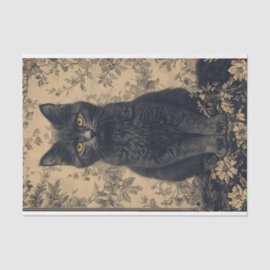 ブラックキャットデカッペ紙 薄葉紙 (正面)