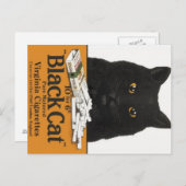 ブラックキャットバージニアタバコ広告はがき ポストカード (正面/裏面)