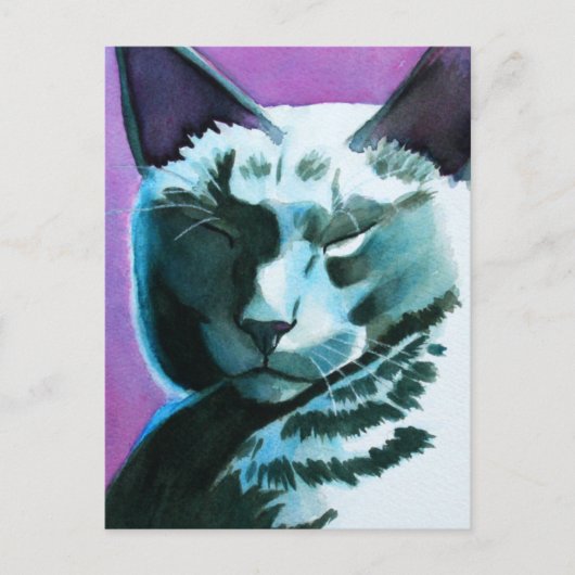 ブラックキャットマリーナリーガル ポストカード (正面)