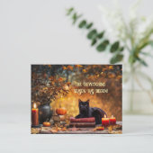 ブラックキャット魔法ブックスビーチハローウィン シーズンポストカード (スタンド正面)