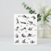 ブラックキャット&ウールヤーンボール、アレキサンドレスティインレン ポストカード (スタンド正面)