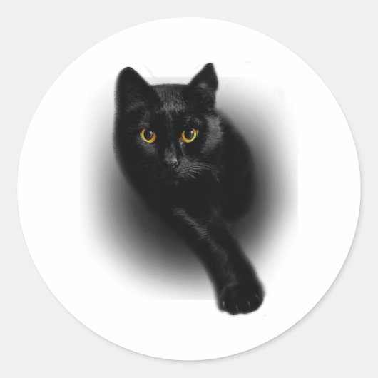 ブラックキャット ファイル ネイル ラウンドシール (正面)