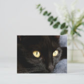 ブラックキャット ポストカード (スタンド正面)