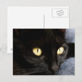 ブラックキャット ポストカード (正面/裏面)