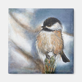 ブラックキャップ《鳥》アメリカゴガラソングバード マグネット