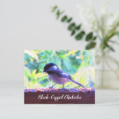 ブラックキャップ《鳥》アメリカゴガラパーチングバーズカナダ ポストカード (スタンド正面)