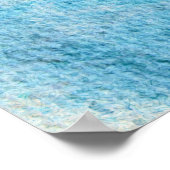 ブラックキャップ《鳥》アメリカゴガラプリント ポスター (角)