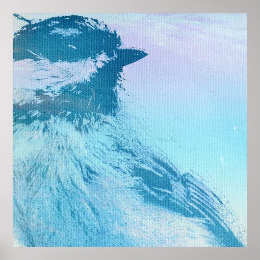 ブラックキャップ《鳥》アメリカゴガラプリント ポスター (正面)