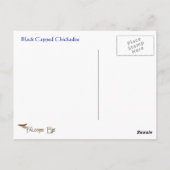 ブラックキャップ《鳥》アメリカゴガラワイルドライフシリーズ#3はがき ポストカード (裏面)