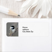 ブラックキャップ《鳥》アメリカゴガラ写真 ラベル (インサイチュ)