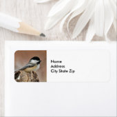 ブラックキャップ《鳥》アメリカゴガラ雪写真 ラベル (インサイチュ)