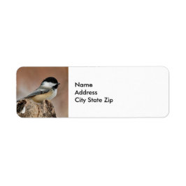 ブラックキャップ《鳥》アメリカゴガラ雪写真 ラベル