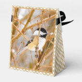 ブラックキャップ《鳥》アメリカゴガラ-オリジナル写真 フェイバーボックス (裏面サイド)