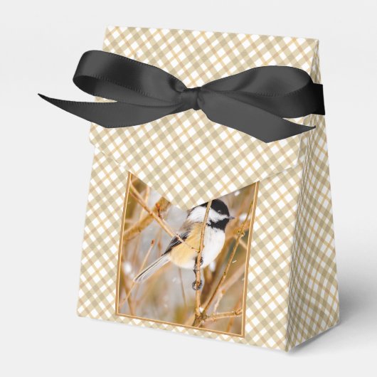 ブラックキャップ《鳥》アメリカゴガラ-オリジナル写真 フェイバーボックス (正面サイド)