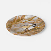 ブラックキャップ《鳥》アメリカゴガラ-オリジナル写真 ペーパープレート (アングル)