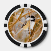 ブラックキャップ《鳥》アメリカゴガラ-オリジナル写真 ポーカーチップ (正面)