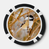 ブラックキャップ《鳥》アメリカゴガラ-オリジナル写真 ポーカーチップ (裏面)