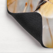 ブラックキャップ《鳥》アメリカゴガラ-オリジナル写真 マウスパッド (コーナー)