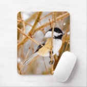 ブラックキャップ《鳥》アメリカゴガラ-オリジナル写真 マウスパッド (マウス)